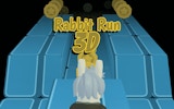 Rabbit Run 3D: Endless Runner Online Game