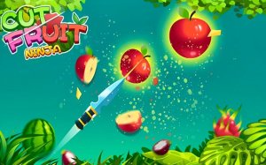 Fruit Ninja Slice Arcade