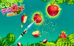 Fruit Slicing Arcade