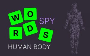 Body Word Search Puzzle