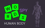 Human Anatomy Word Search