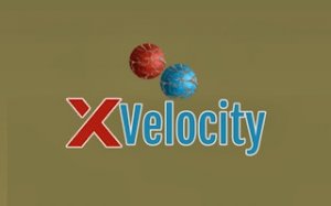 Velocity Ball Arcade Challenge