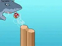 Aquatic Fish Arcade Challenge