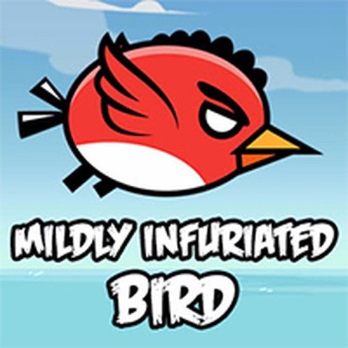 Sky Glide Bird Runner